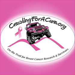 Crawlin To A Cure